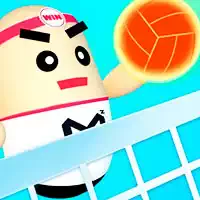 3d_amazing_volleyball ហ្គេម