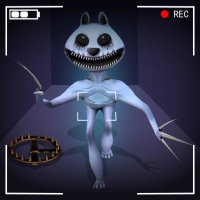 កំណត់ត្រាផ្ទែកប្រភេទ