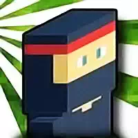 Block Ninja Hd