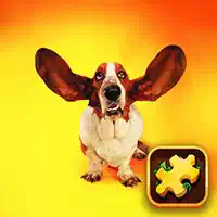 funny_dogs_puzzle Игры