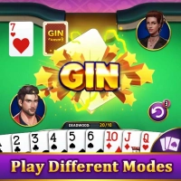 GIN RUMI