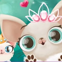 hollywood_fashion_pets ألعاب