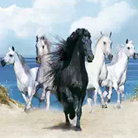 horses_puzzle Oyunlar