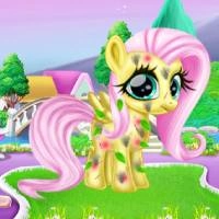 little_pony_caretaker ເກມ