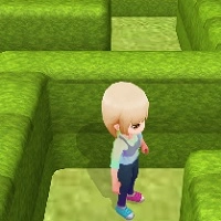 maze_escape_3d ألعاب