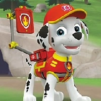 Paw Patrol ¡a Clasificar!