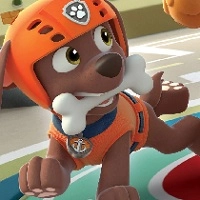 paw_patrol_zuma Spil