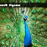 Peacock Jigsaw