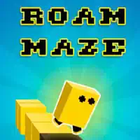 roam_maze بازی ها