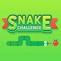 snake_challenge თამაშები