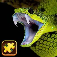 snake_puzzle_challenge ហ្គេម