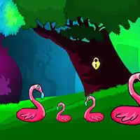 swan_land_escape Spiele