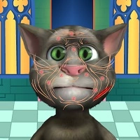 talking_tom_cosmetic_surgery Игры