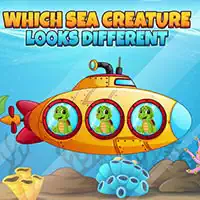 which_sea_creature_looks_different Játékok