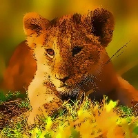 wild_baby_animals_jigsaw Παιχνίδια