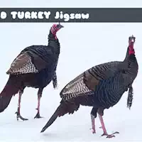 wild_turkey_jigsaw 游戏
