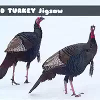 wild_turkey_jigsaw ហ្គេម