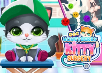 Doktor Honeyberry Kitty Cərrahiyyəsi oyun ekran görüntüsü