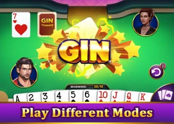 GIN RUMI snimka zaslona igre