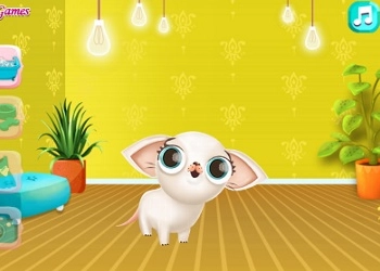 Hollywood Fashion Pets game screenshot