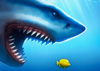 Mega Haj skærmbillede af spillet